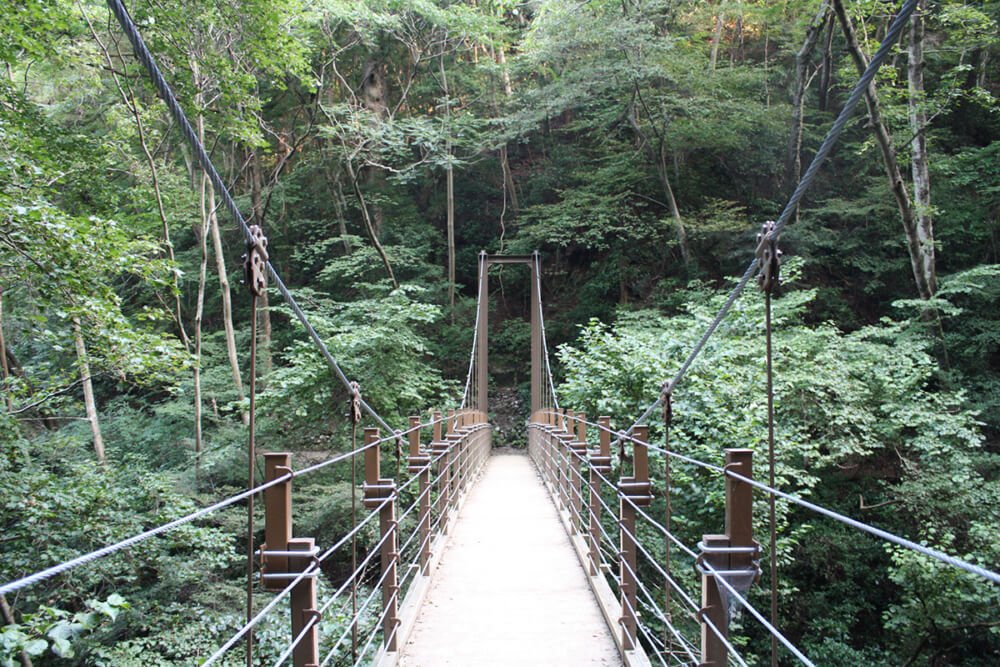 🌳 오사카 부민의 숲 녹색 문화원 무로이케 원지 이미지 7